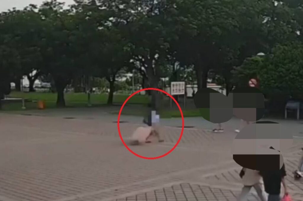 淡水93歲婦人離奇失蹤　媳婦裝箱棄屍河畔遭送辦