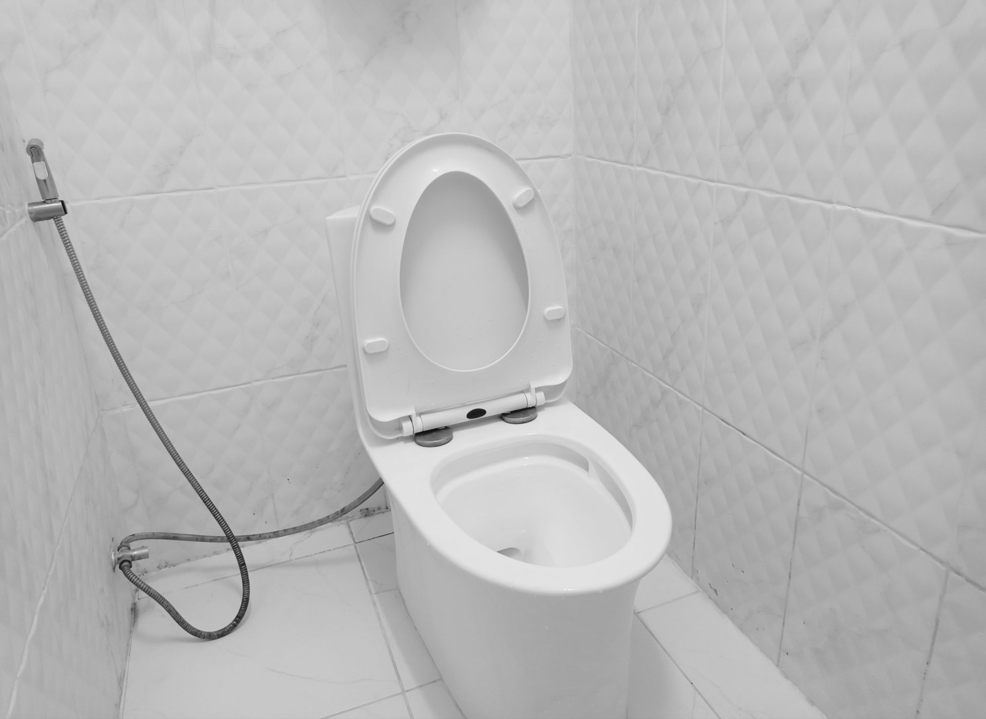 馬桶不是越刷越乾淨！日系家事專家揭3大清潔地雷　漂白劑反成藏污元凶